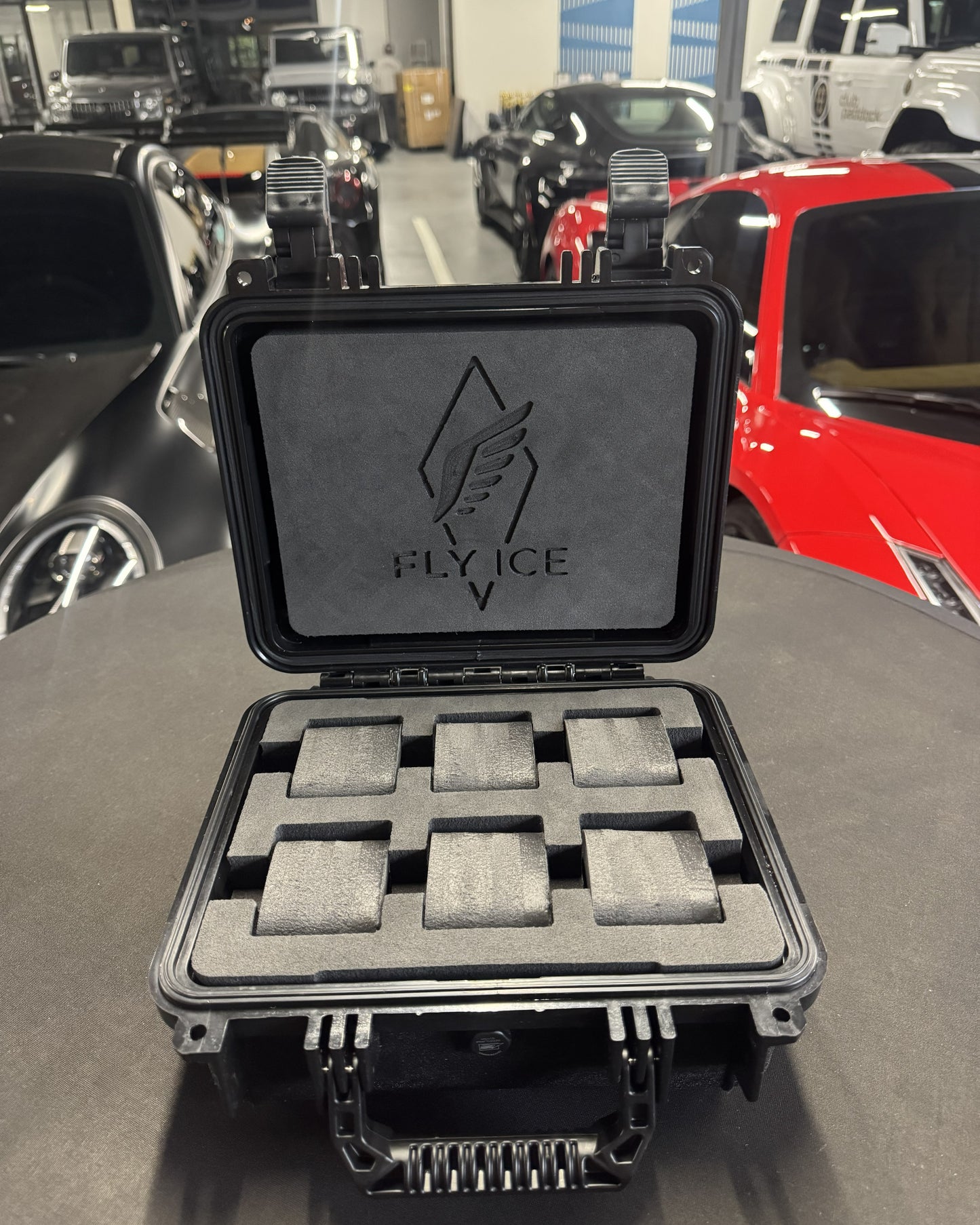 FLY ICE 6-Watch Luxury Travel Case #182