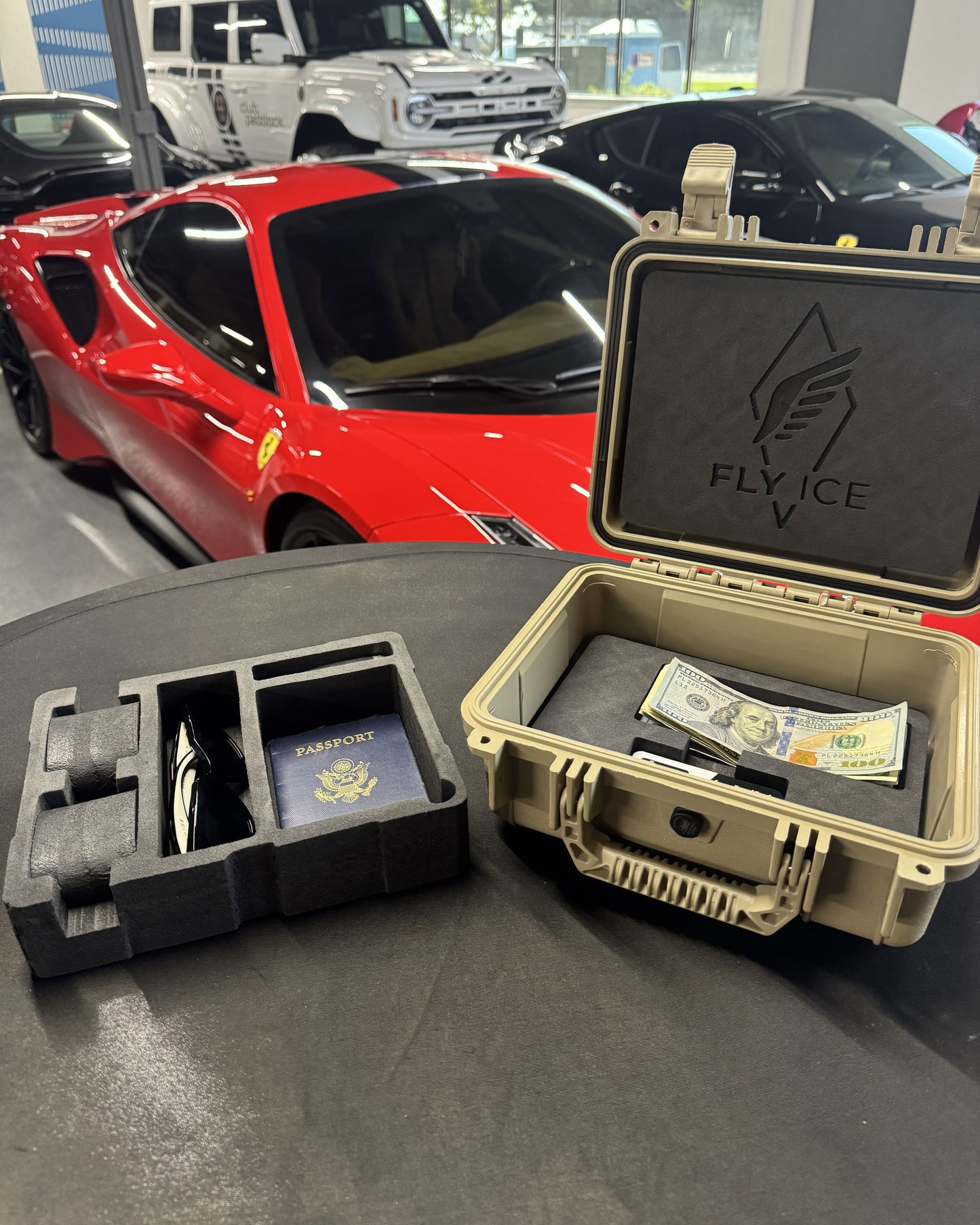 FLY ICE 2-Watch Luxury Travel Case #184
