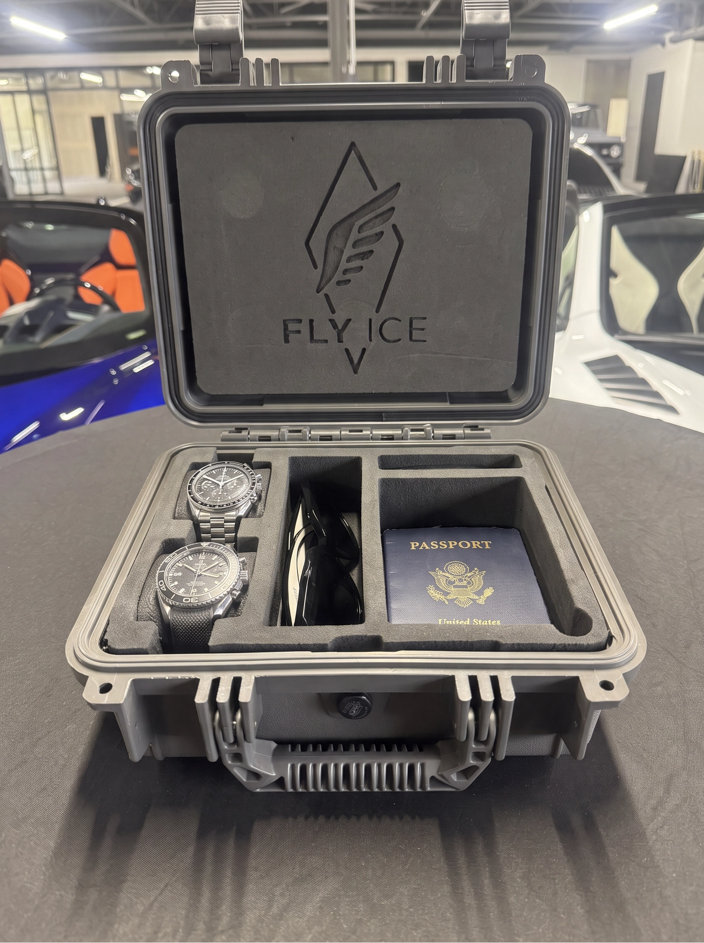 FLY ICE 2-Watch Luxury Travel Case #184