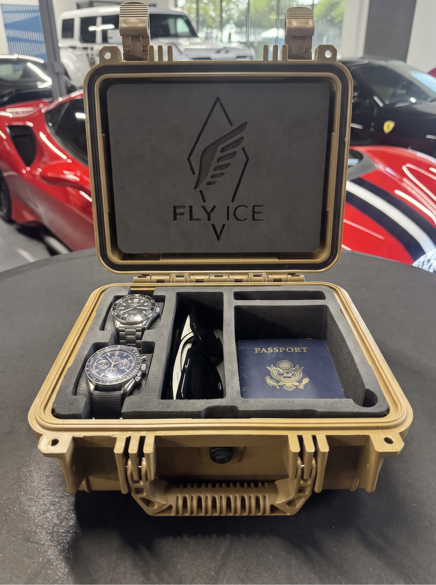 FLY ICE 2-Watch Luxury Travel Case #184