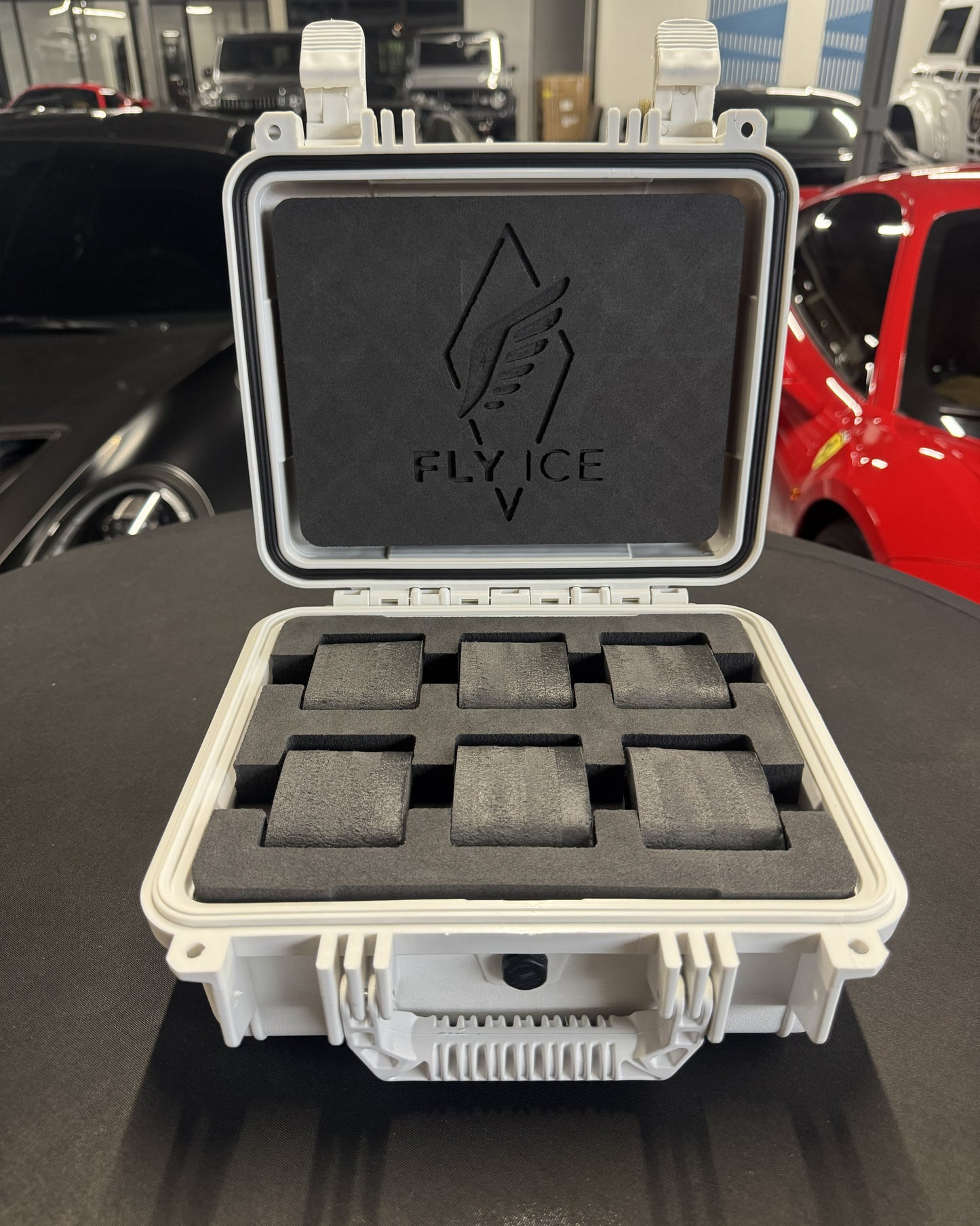 FLY ICE 6-Watch Luxury Travel Case #182